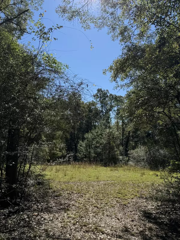 Westville, FL 32464,86AC 179A Highway