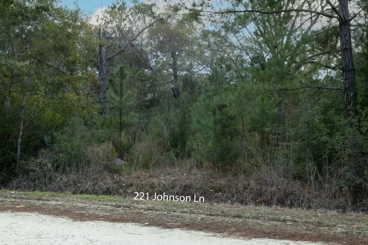 Freeport, FL 32439,221 Johnson Lane