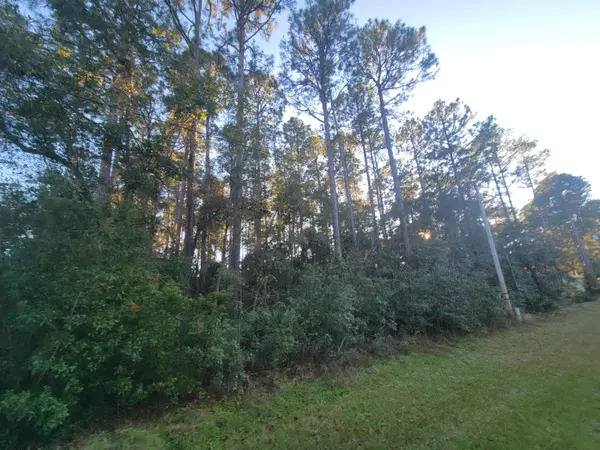 Lot 51 Mallet Bayou Road, Freeport, FL 32439