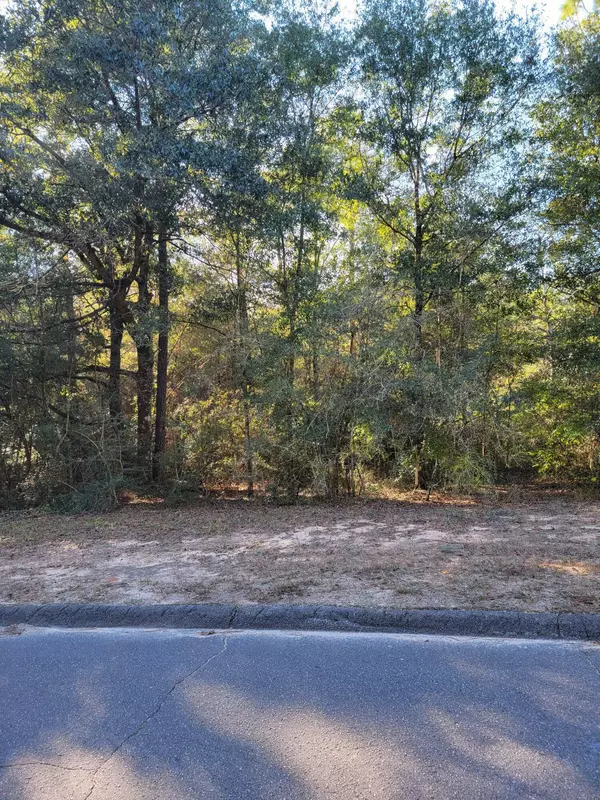 Crestview, FL 32539,2.7 Ac +- Willow Lane