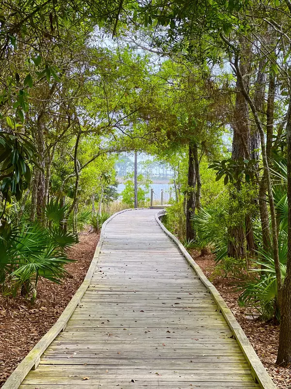 Santa Rosa Beach, FL 32459,Lot 8B Wilderness Way