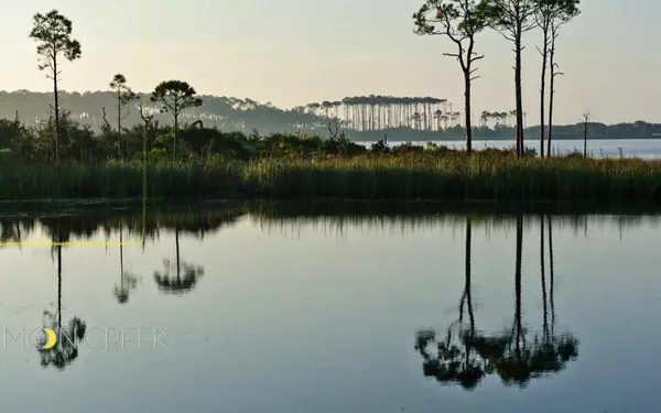 Santa Rosa Beach, FL 32459,Lot 8 Wilderness Way