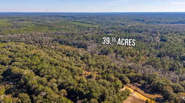 Defuniak Springs, FL 32433,39.5 Acres Spradlin Road