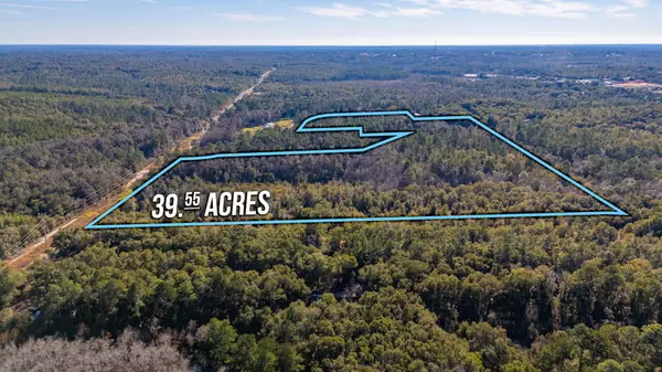 Defuniak Springs, FL 32433,39.5 Acres Spradlin Road