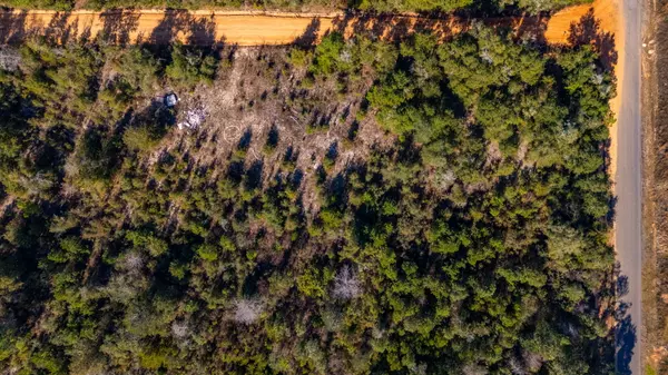 Defuniak Springs, FL 32433,28.7 Acres Spradlin Road