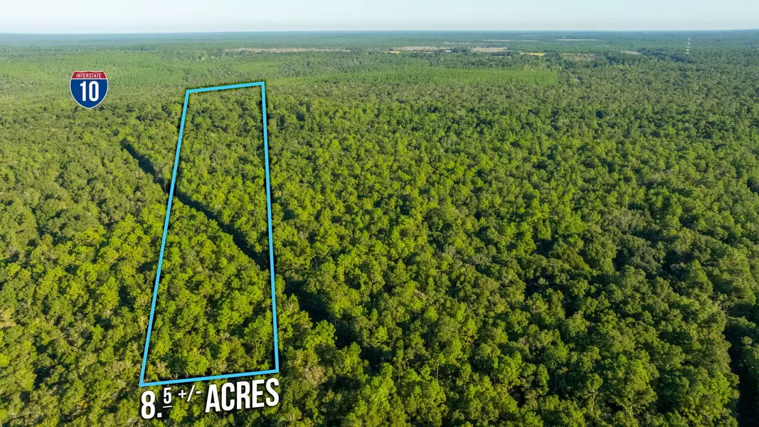 8.5 Acres Lyons Place, Holt, FL 32564