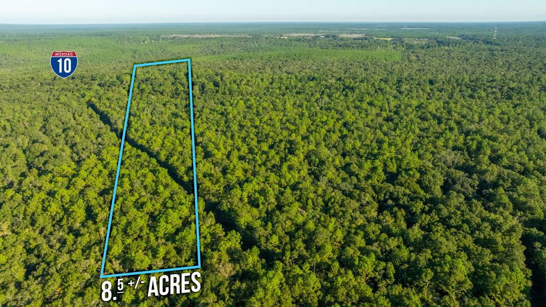 8.5 Acres Lyons Place, Holt, FL 32564