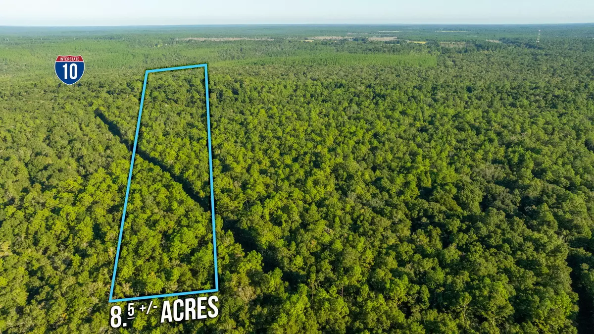 Holt, FL 32564,8.5 Acres Lyons Place