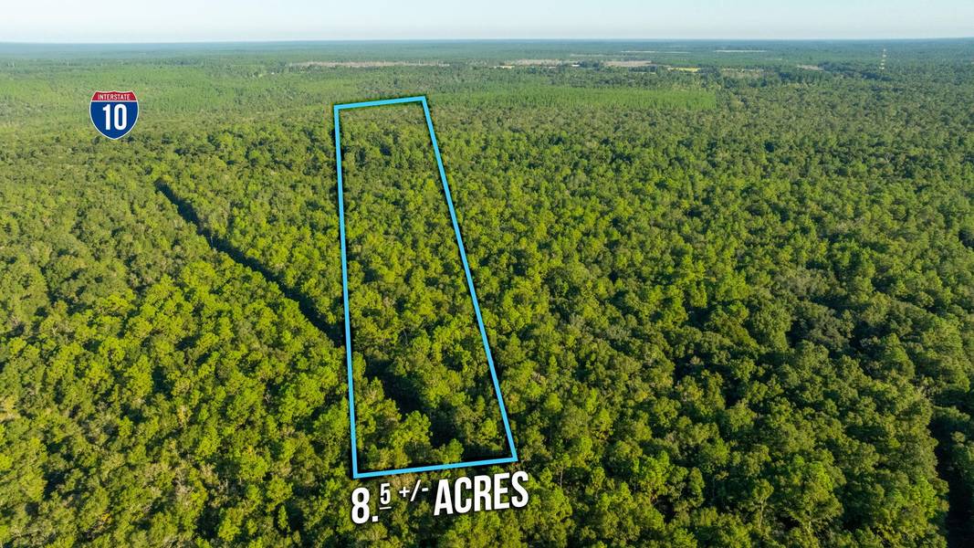 8.5 Acres Lyons Place, Holt, FL 32564