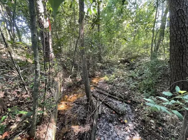 Defuniak Springs, FL 32435,X Lot S 13th Street