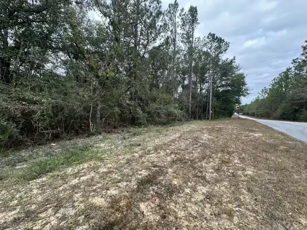 Crestview, FL 32539,22 AC+/- Shangri-La Road