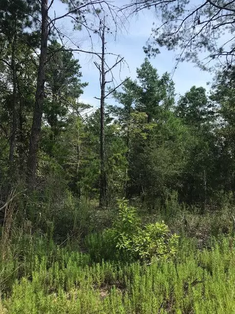 Defuniak Springs, FL 32433,TBD Un-Named