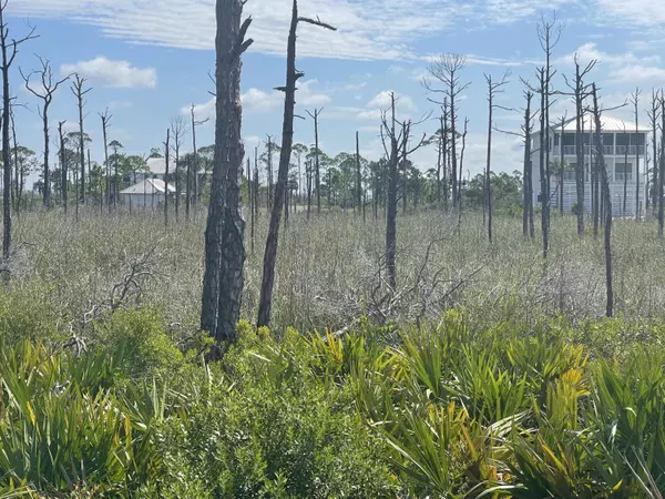 Cape San Blas, FL 32456,Lot 14 Bent Tree Road