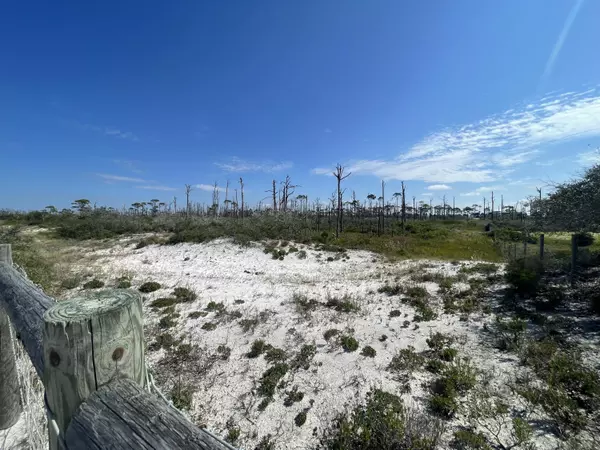 Cape San Blas, FL 32456,Lot 14 Bent Tree Road