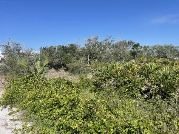 Cape San Blas, FL 32456,Lot 14 Bent Tree Road