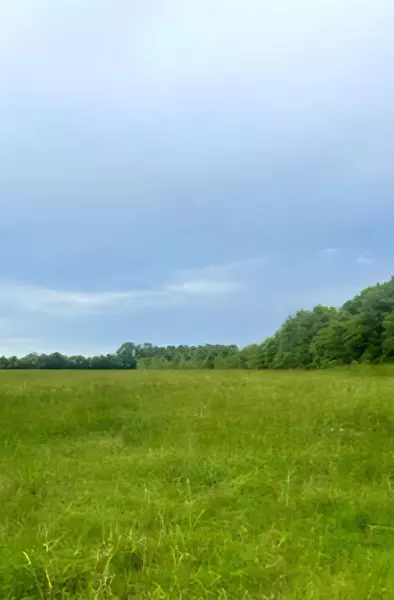 16 acres Williams Road, Defuniak Springs, FL 32433