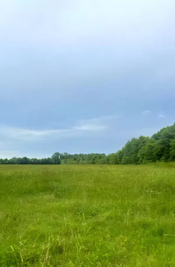 32 acres Williams Road, Defuniak Springs, FL 32433