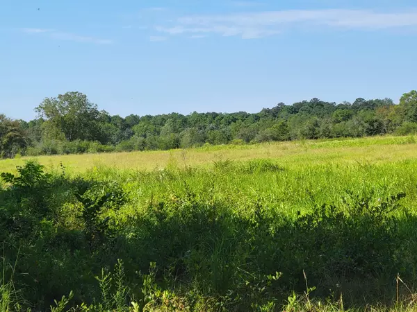 Defuniak Springs, FL 32433,682 Williams Road