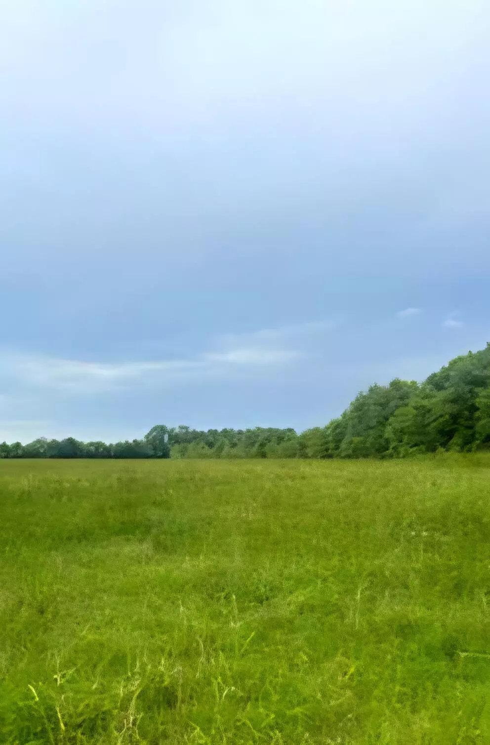 Defuniak Springs, FL 32433,682 Williams Road