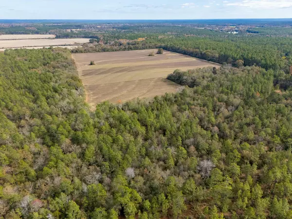 Baker, FL 32531,0000 N Bob Brooks Road