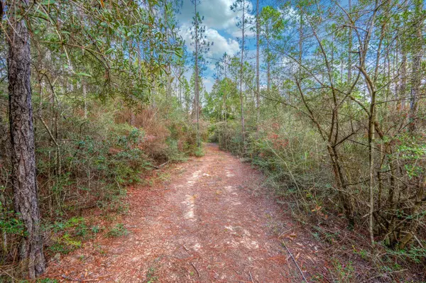 Defuniak Springs, FL 32433,40 Acres Brooklyn Drive