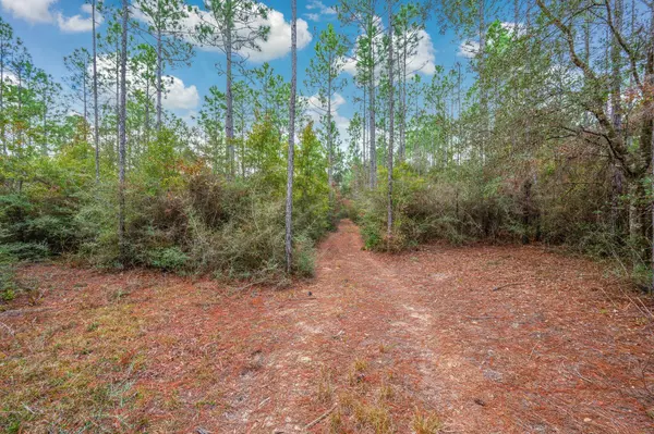 Defuniak Springs, FL 32433,40 Acres Brooklyn Drive