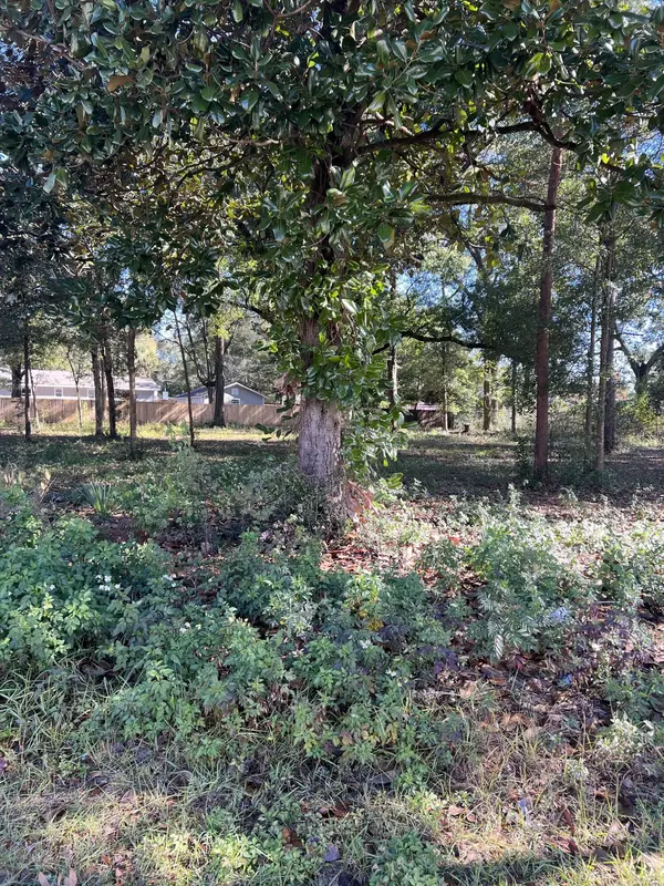 Crestview, FL 32536,Lots 1,2,3 W Juniper Avenue