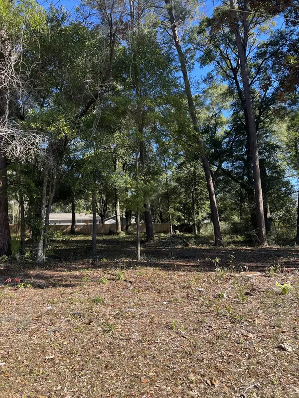 Crestview, FL 32536,Lots 1,2,3 W Juniper Avenue