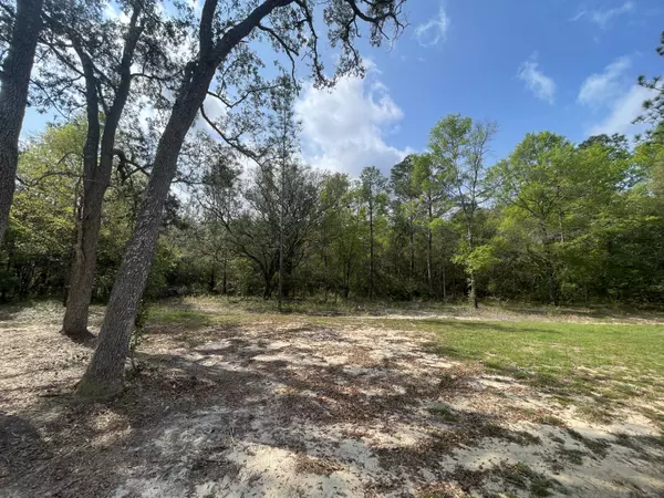 Holt, FL 32564,4278 Horseshoe Lane