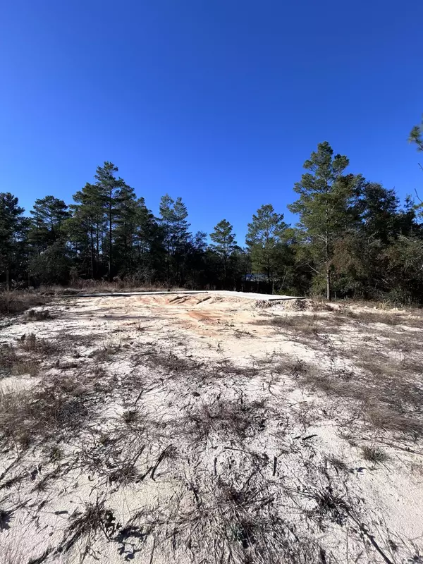 Defuniak Springs, FL 32433,63 Blackberry Court