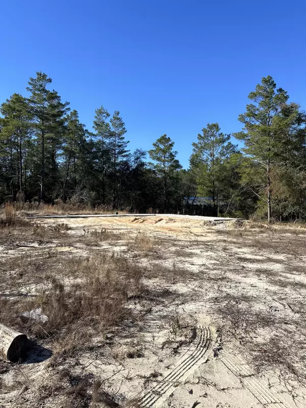 Defuniak Springs, FL 32433,63 Blackberry Court