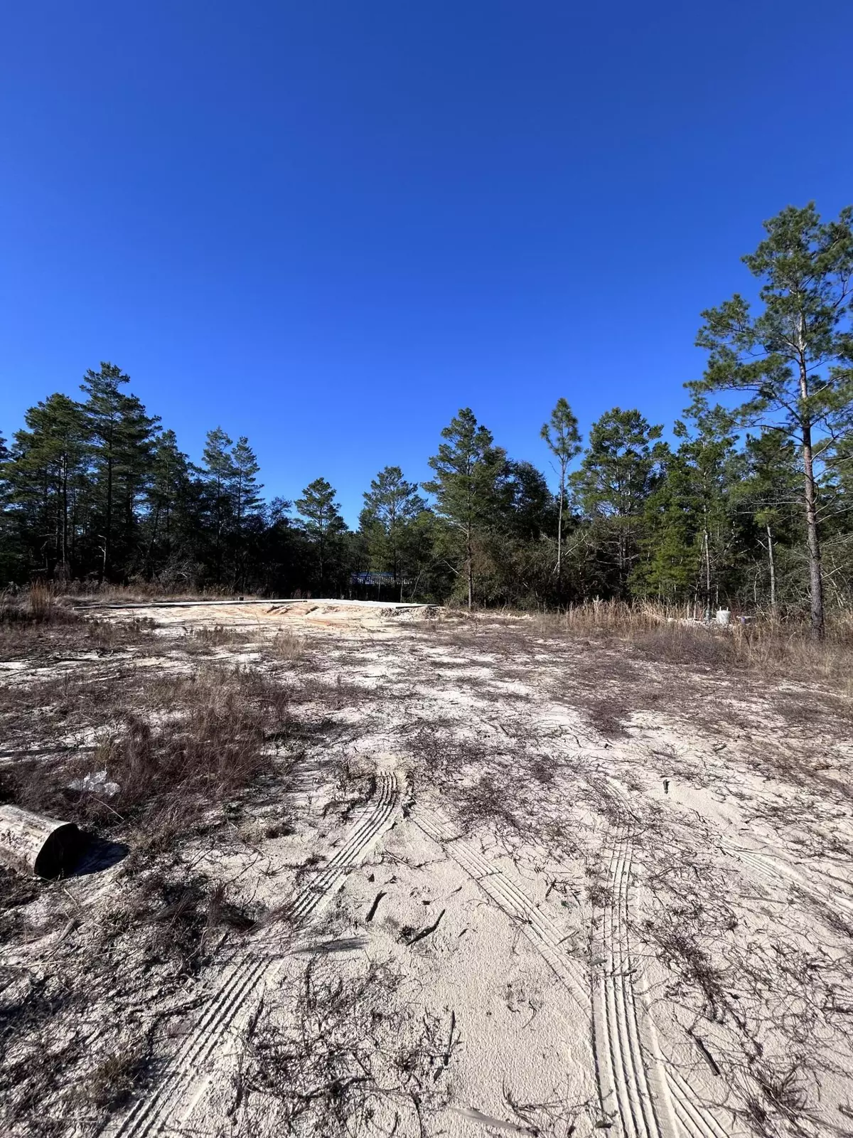 Defuniak Springs, FL 32433,63 Blackberry Court