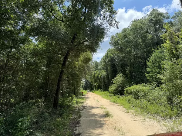 Bonifay, FL 32425,Lot 165 Possum Trot