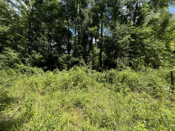 Bonifay, FL 32425,Lot 261 Squirrel Alley