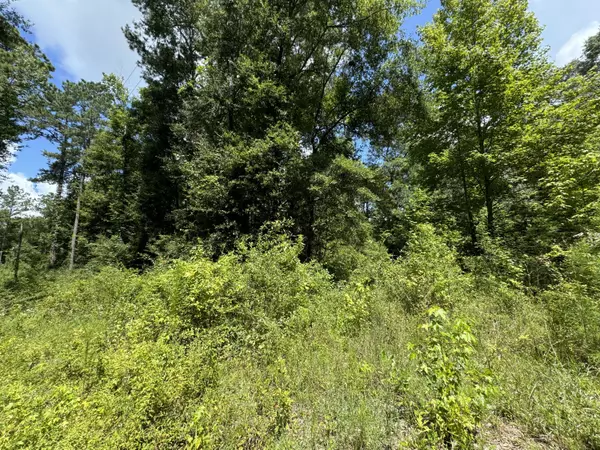 Bonifay, FL 32425,Lot 261 Squirrel Alley