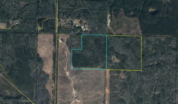 75 Acres N Highway 81, Ponce De Leon, FL 32455