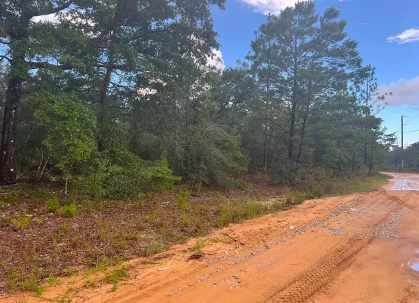 Defuniak Springs, FL 32433,Lot 1 Round Table Road