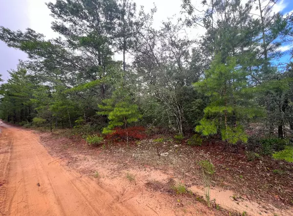 Defuniak Springs, FL 32433,Lot 2 Round Table Road