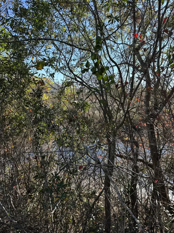 Youngstown, FL 32466,00 Indian Bluff lot 31 Drive