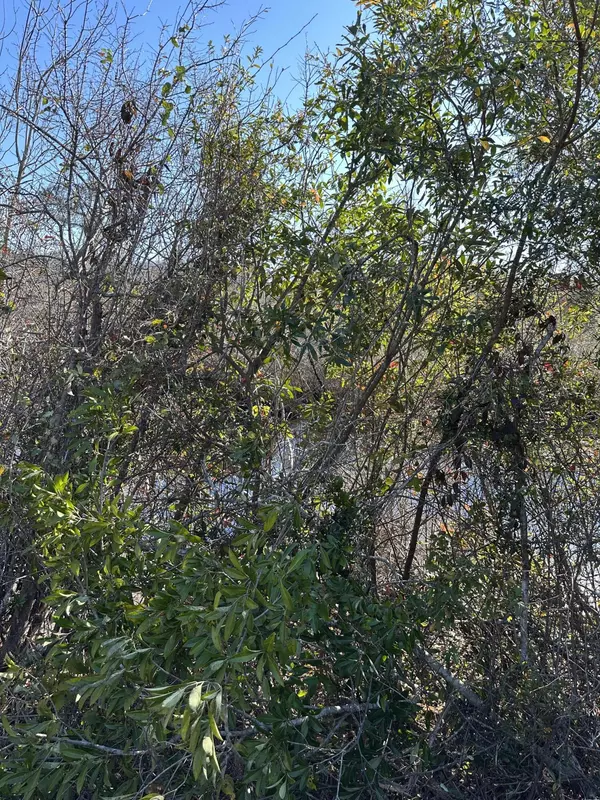 Youngstown, FL 32466,31 Indian Bluff Drive