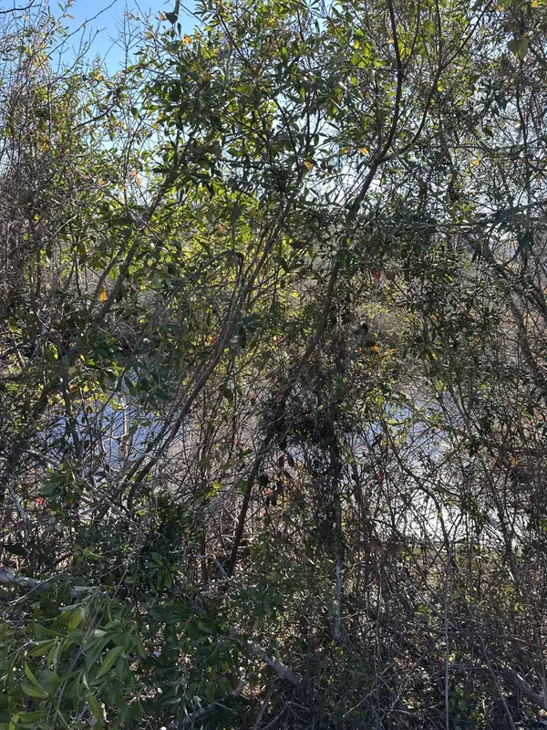 Youngstown, FL 32466,31 Indian Bluff Drive