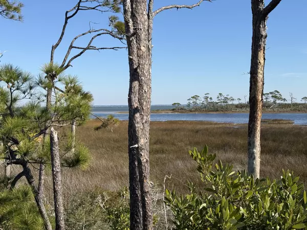 Cape San Blas, FL 32456,TBD Cape San Blas Road