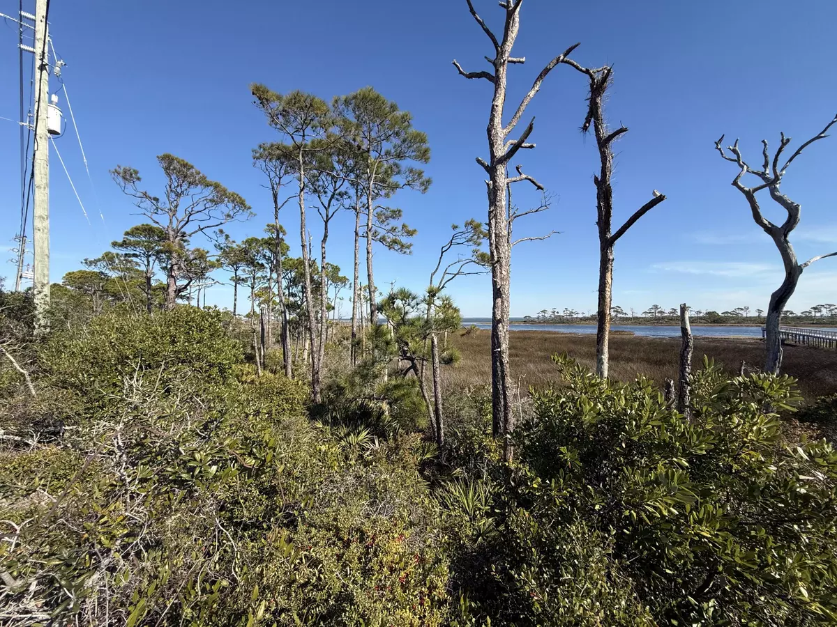 Cape San Blas, FL 32456,TBD Cape San Blas Road