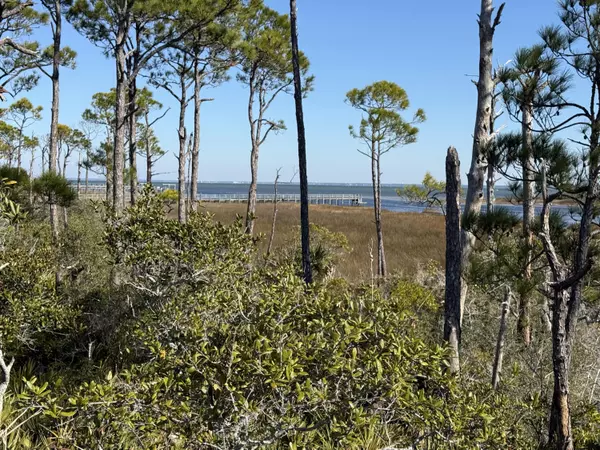 Cape San Blas, FL 32456,TBD Cape San Blas Road