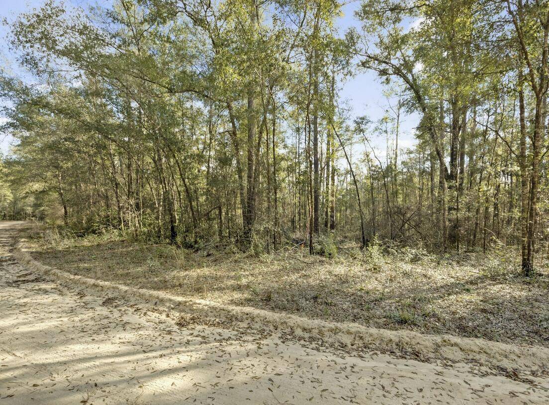 Ponce De Leon, FL 32455,Lot 30 Blue Creek Road