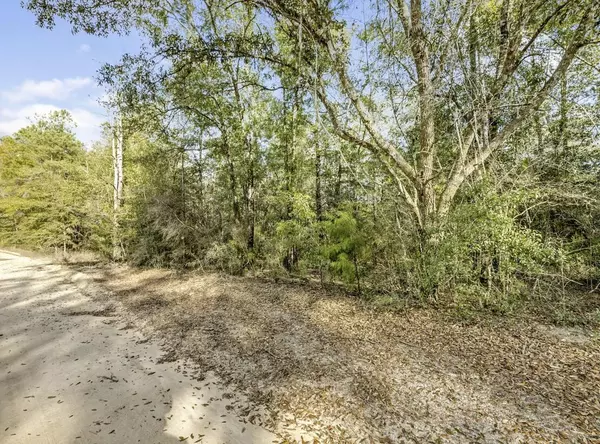 Ponce De Leon, FL 32455,Lot 30 Blue Creek Road