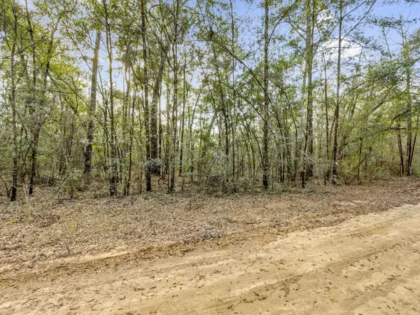 Ponce De Leon, FL 32455,Lot 24 Blue Creek Road