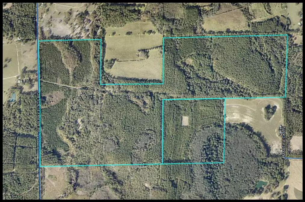 Laurel Hill, FL 32567,XXX Bear Bay Flats Road