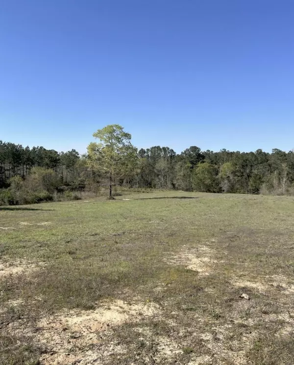 Ponce De Leon, FL 32455,55 Ac +- N Hwy 81