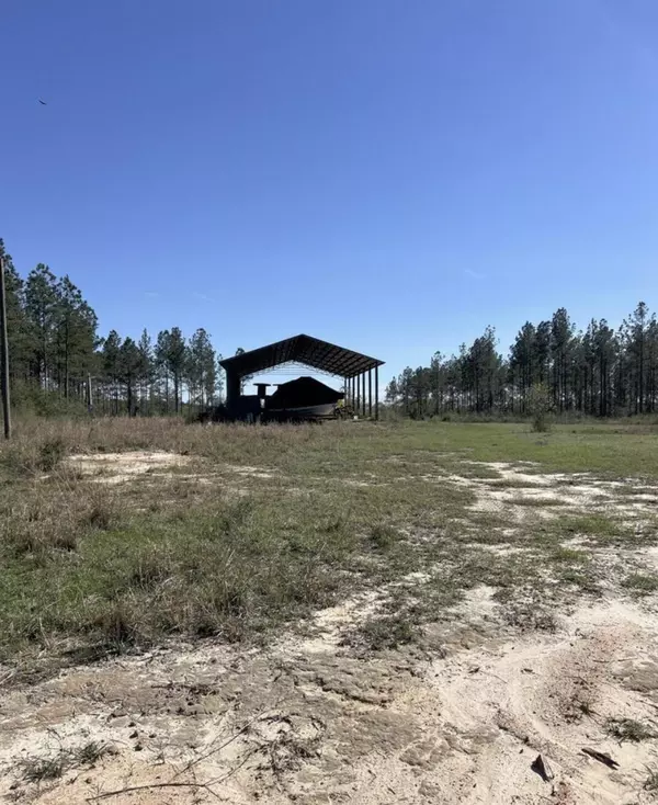 Ponce De Leon, FL 32455,55 Ac +- N Hwy 81